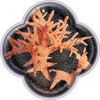 Дерево и жирафик (начало)