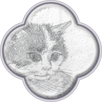 Котёнок (с фотки)