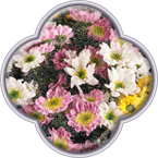 Баннеры для сайта *Цветы души*