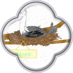 Вариант портфолио