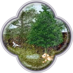 Шапка *Ривьера ди Флёр* (Весна - день)