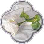 Баннер для салона штор и салона цветов