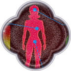 Результаты тестирования *Интимный психоскоп*