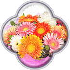 Баннеры Мосцветторг от 3000