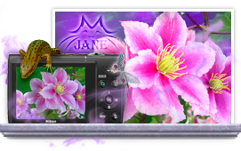 Обработка фотографий