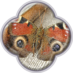 Снова оживаем :) Снова оживаем :)