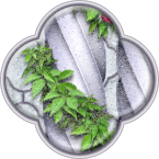 Наконец-то новый дизайн сайта! Наконец-то новый дизайн сайта!