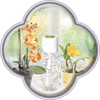 Упаковка для Автолейки