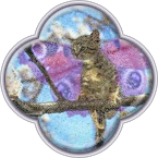 Летающий котёнок