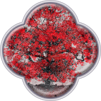 Дерево тёмных эльфов