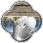 Свадебное путешествие 2