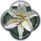 Цветочный магазин (набросок)