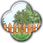 Питомник декоративных растений  *Калинка*